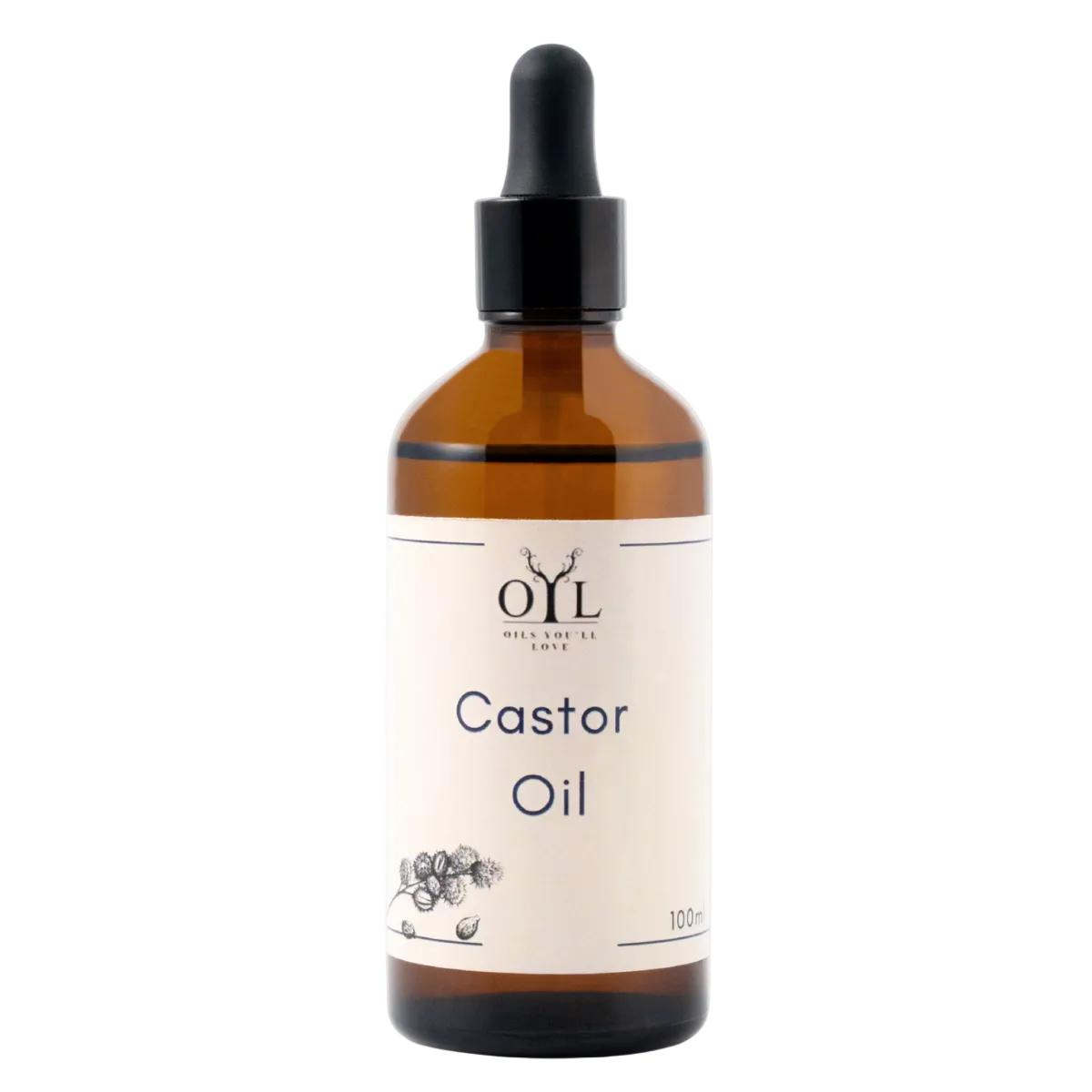 Castor Oil (Ricinus communis)ﻞﯿﺗ ﺎک ﯽڈﻧﺭﺍ 100ML